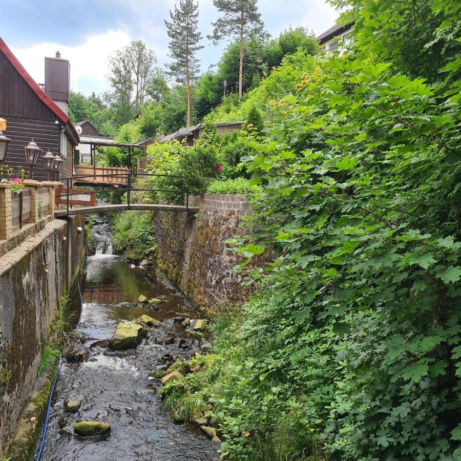 Harz Im Herzen Altenau  Dış mekan fotoğraf