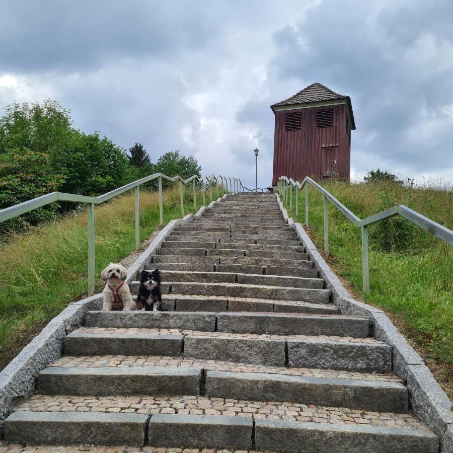 Harz Im Herzen Altenau  Dış mekan fotoğraf